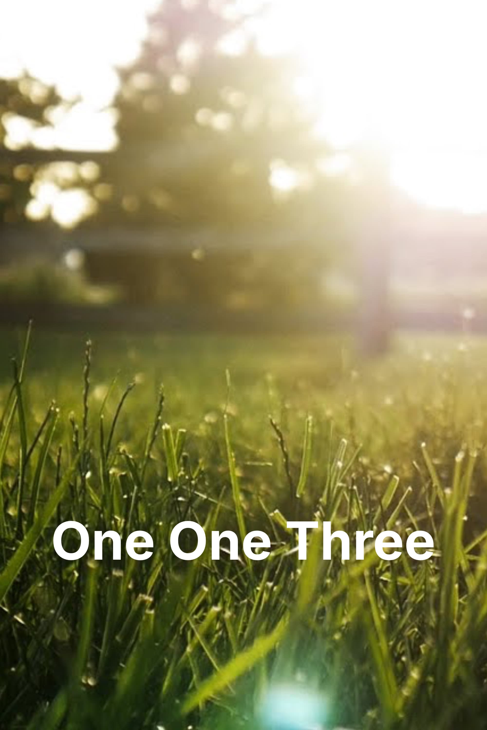Poster for One One Three