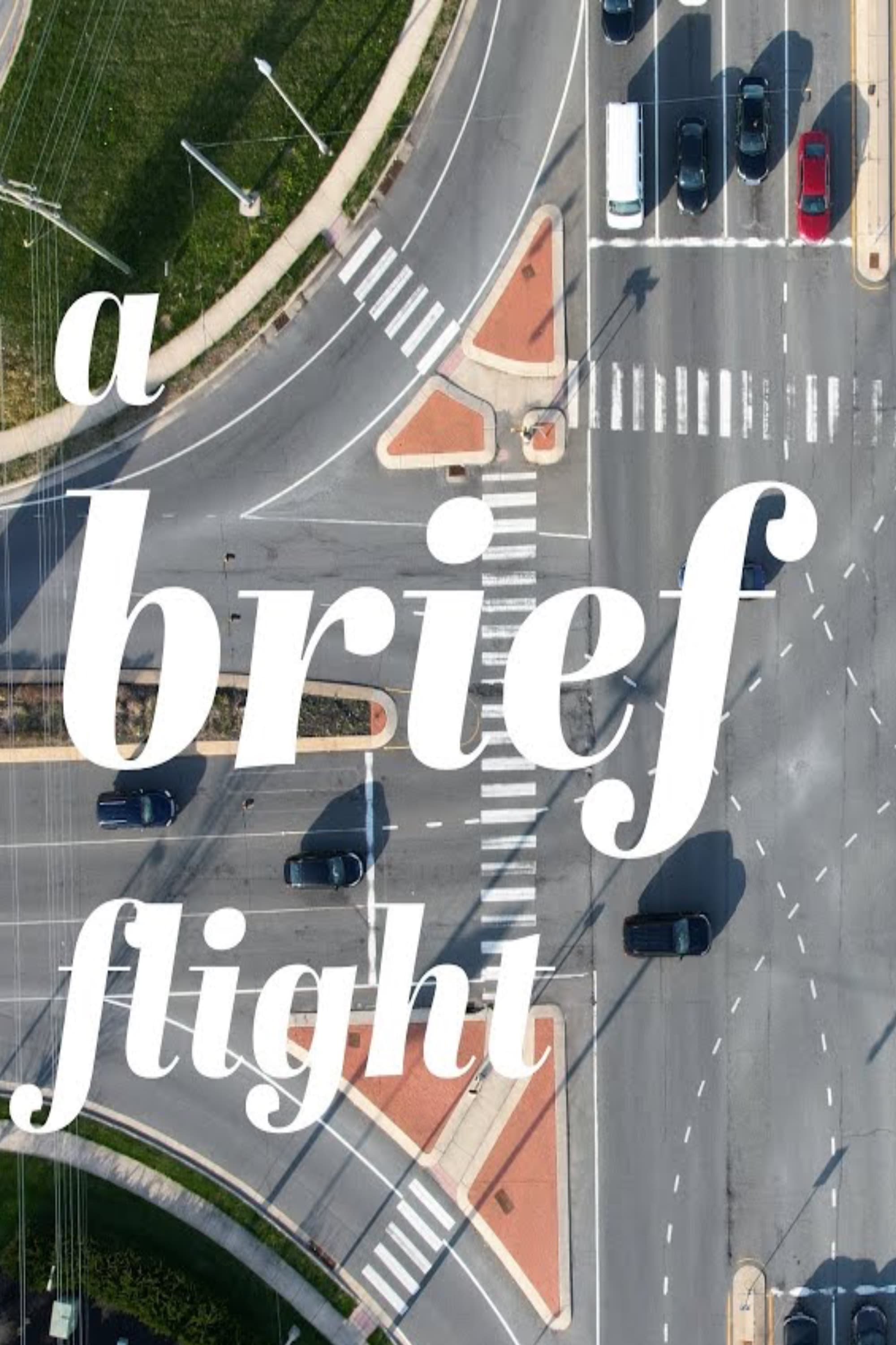 Poster for A Brief Flight