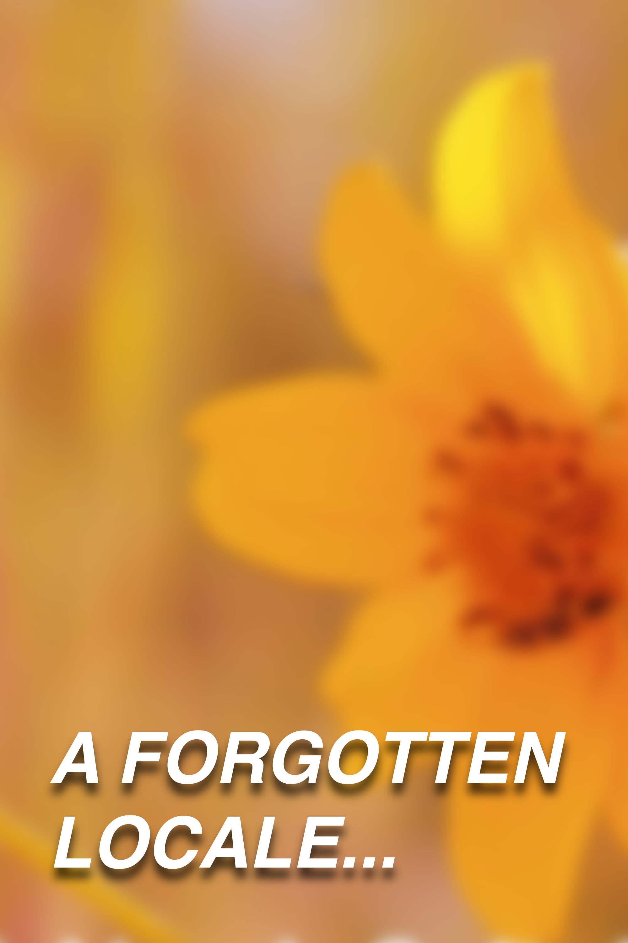 Poster for A Forgotten Locale…
