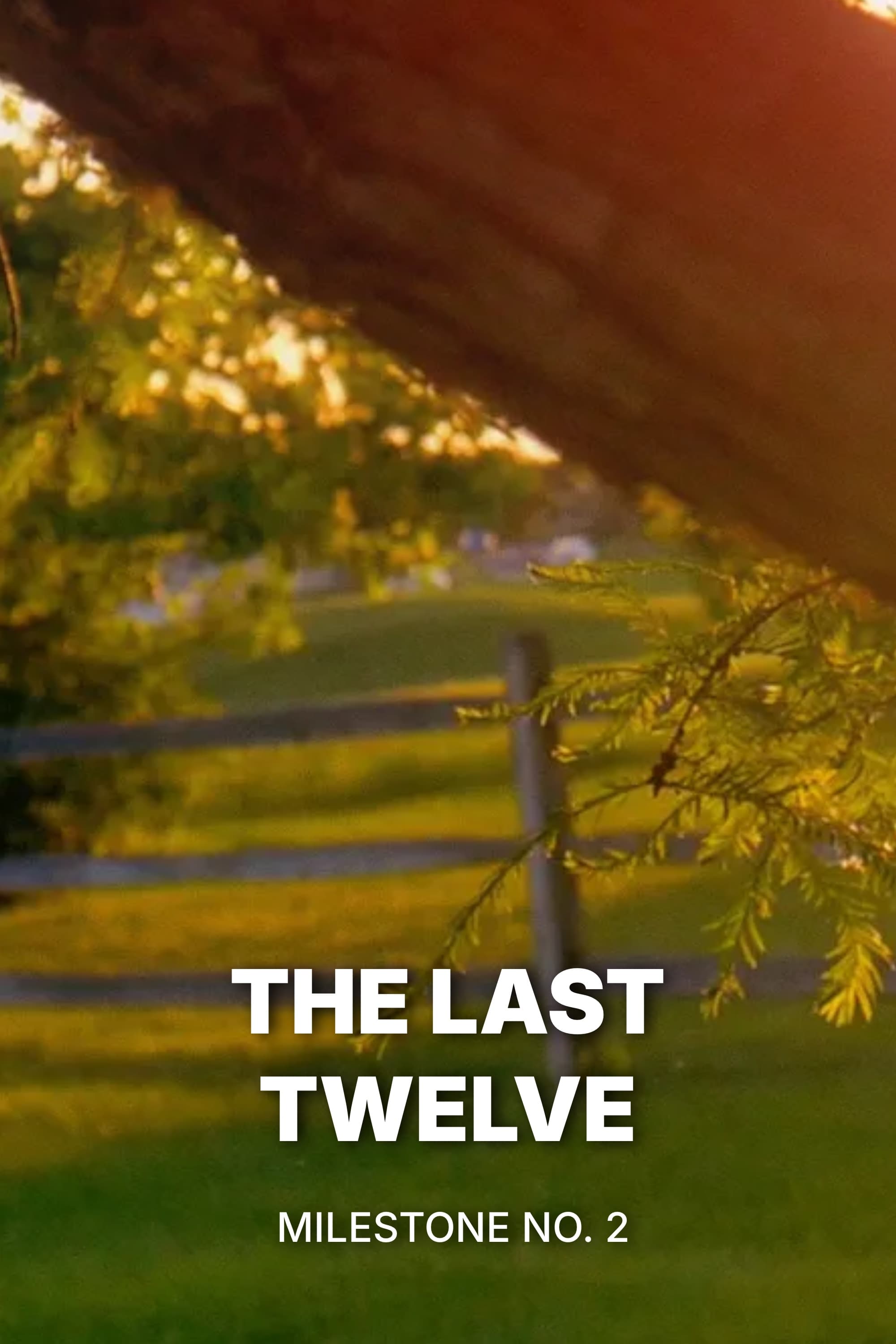 Poster for The Last Twelve