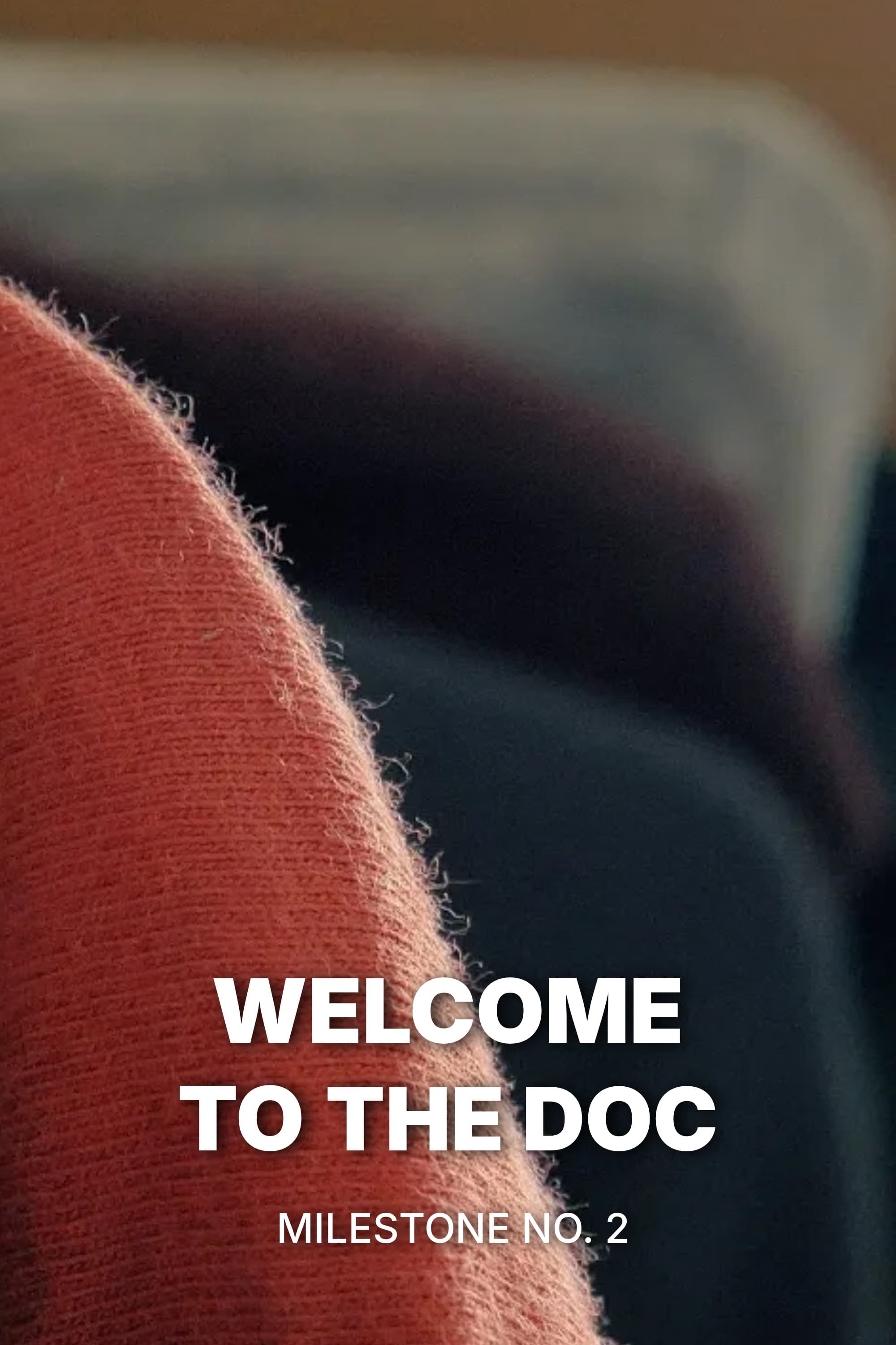 Poster for Welcome to the Documentary | Milestone No. 2